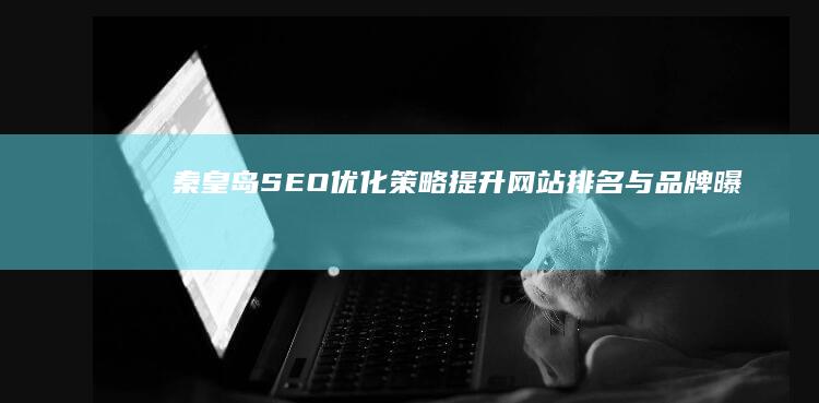 秦皇岛SEO优化策略：提升网站排名与品牌曝光